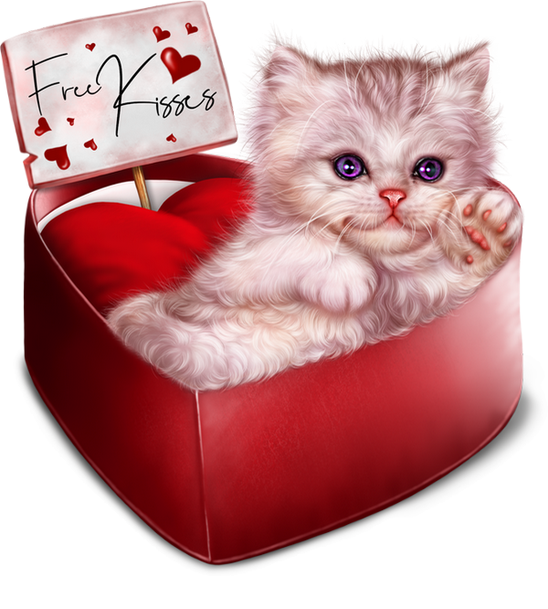 Tube St Valentin Boite Coeur Et Chat Png Love Cat