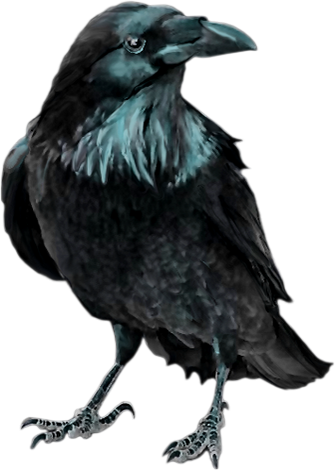 Corbeau Noir Halloween VOANZO - Décor Réaliste 15cm Pour Maison Hantée Ou Extérieur