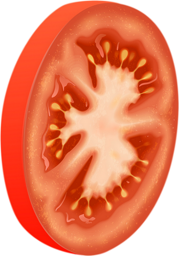 Tube Légume, Tomate Png, Tranche - Pomodoro - Tomato