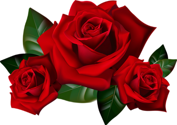 Tube Fleurs Roses Rouges Png Red Roses Clipart Png