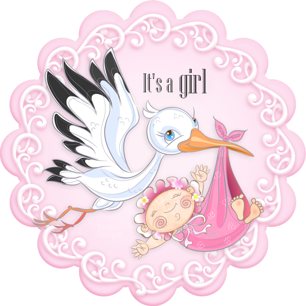 ♥ Cigogne & bébé, naissance fille - It's a girl png ♥