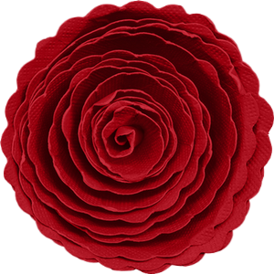 ♥ Scrapbooking, fleur rouge png, tube_Scrapbook flower ♥