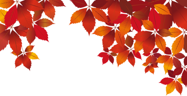 Feuilles D Automne Png Vector Autumn Leaves Clipart