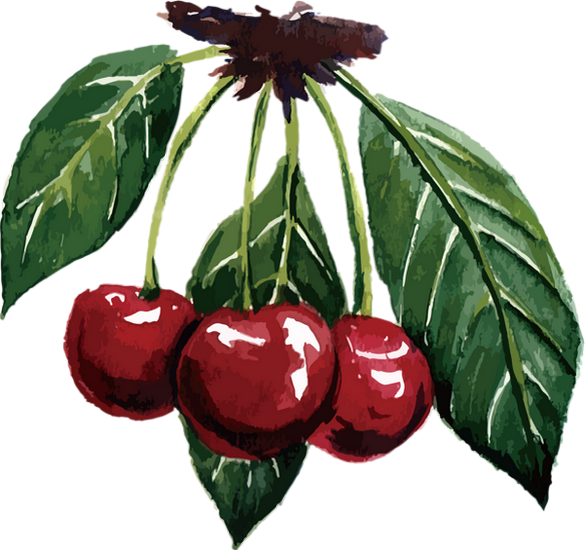Tube fruit, cerises png, dessin - Cherries drawing clipart