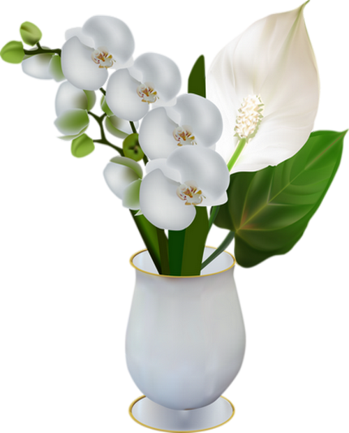 Tube Bouquet De Fleurs Blanches Png White Flowers 3770