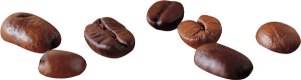 Grains de café png tube Coffee beans png Kaffee png