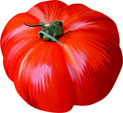 Dessin Couleur Tomate Tomato Drawing