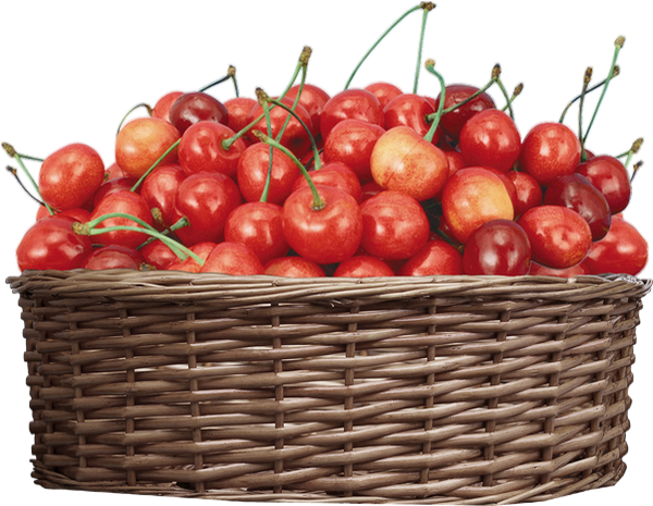 Tube fruit png, cerises, panier - Cherries png, basket
