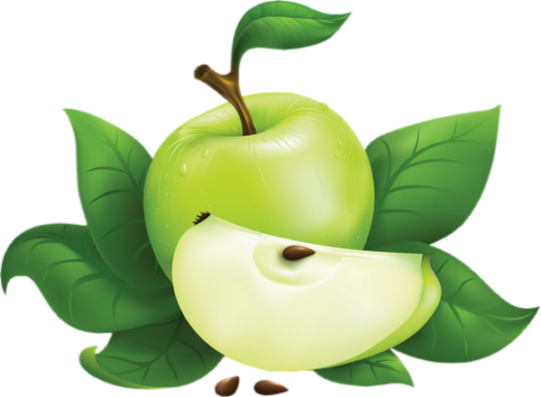 clipart pomme verte