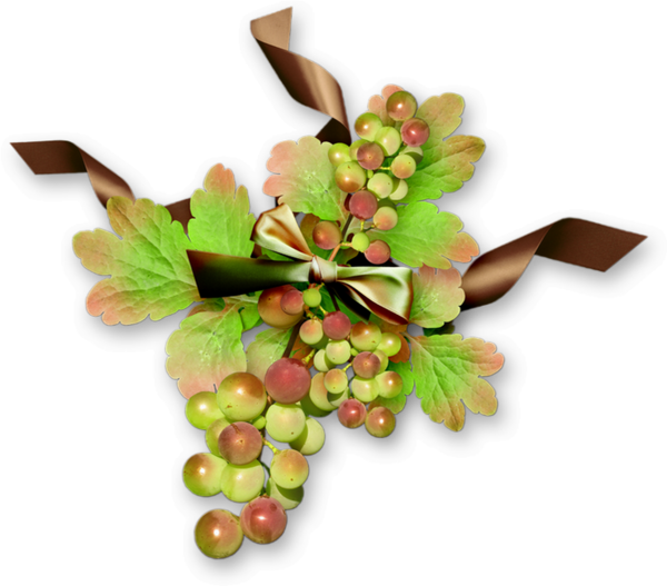 Automne : raisin png, tube - Autumn cluster, grapes png