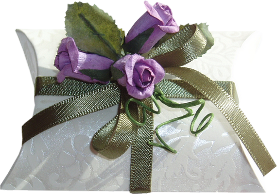 Paquet cadeau png, tube . Gift png, present . Regalo png