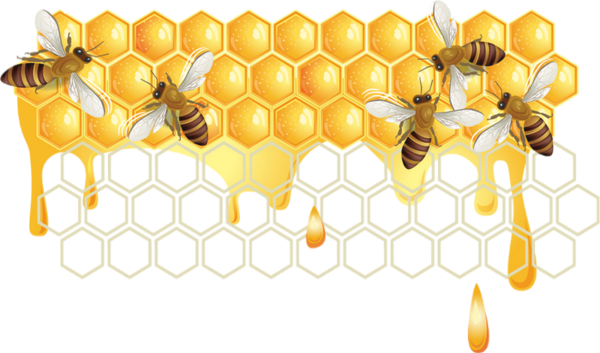 Miel Abeilles Dessin Png Tube Aliment Honey Clipart