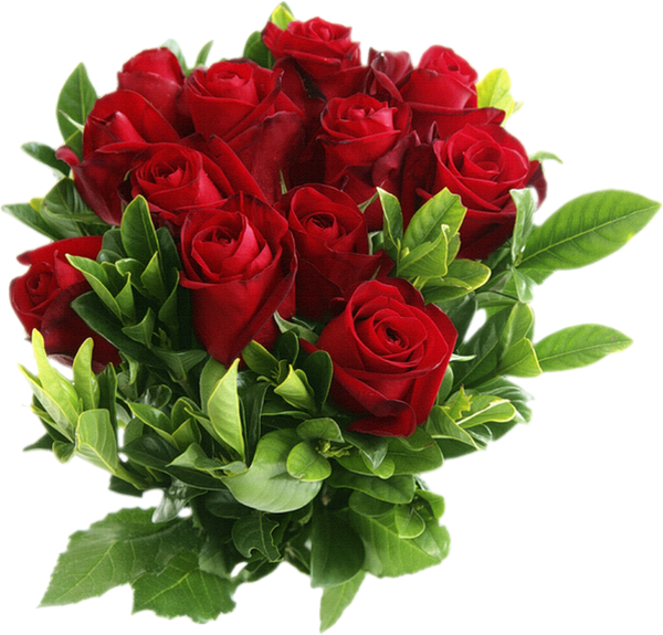 Tube Fleurs Roses Rouges Png Red Roses Clipart Png