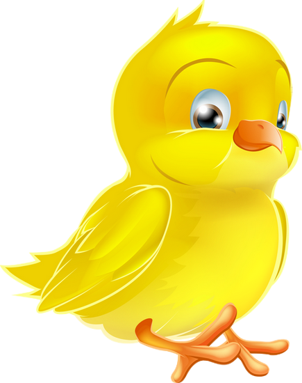 Tube Paques Poussin Png Dessin Easter Chick Png