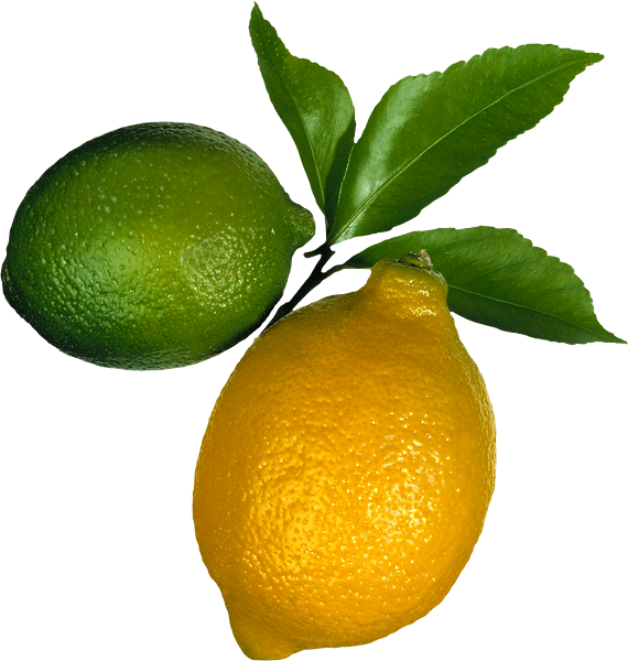 Citrons Tube Png Fruit Limones Png Limões Png