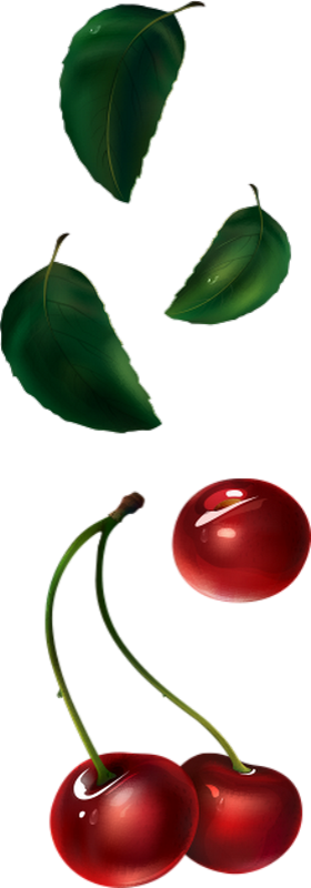 Tube fruit, cerise png, dessin . Cherry drawing clipart