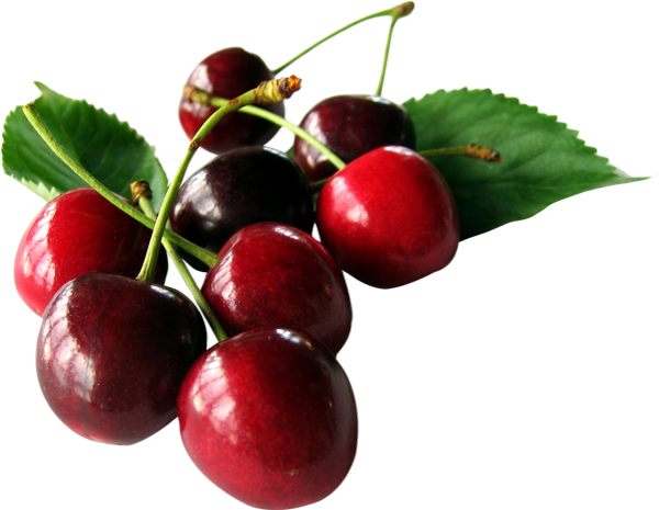 Tube fruit png, cerises . Cherries png . Cerezas png