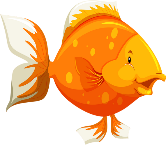 Tube Png Poisson Dessin Sea Fish Clipart Pescado Png