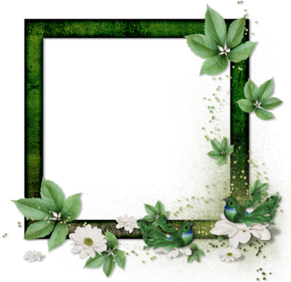 Cadre photo png transparent - Cluster frame png - Marco