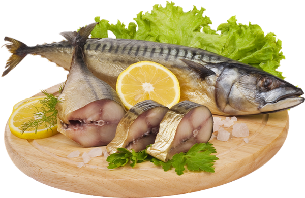 Poisson, tube nourriture, png transparent - Fish, seafood
