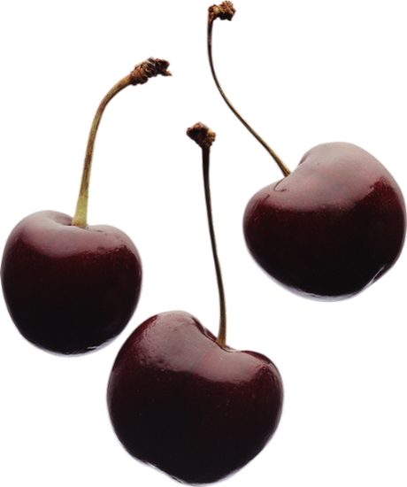 Tube fruit png, cerises / Cherries png / Cerezas png