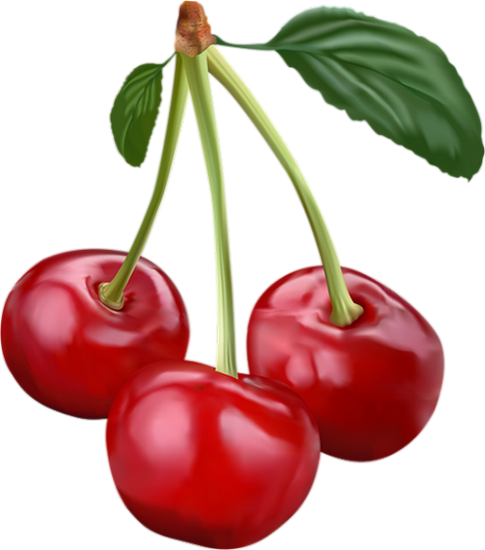 Tube fruit, cerises png - Cherries clipart - Cerezas png