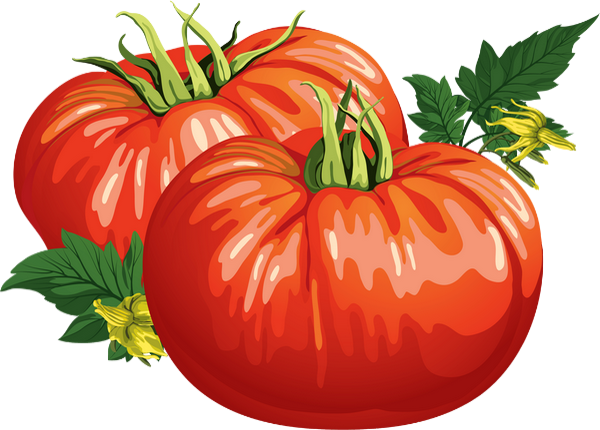 Tomates Png Coeur De Boeuf Tomatoes Png Drawing