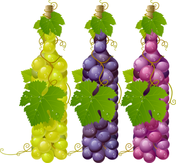 Raisin png, bouteilles, vin - Wine, grapes - Vino - Wein