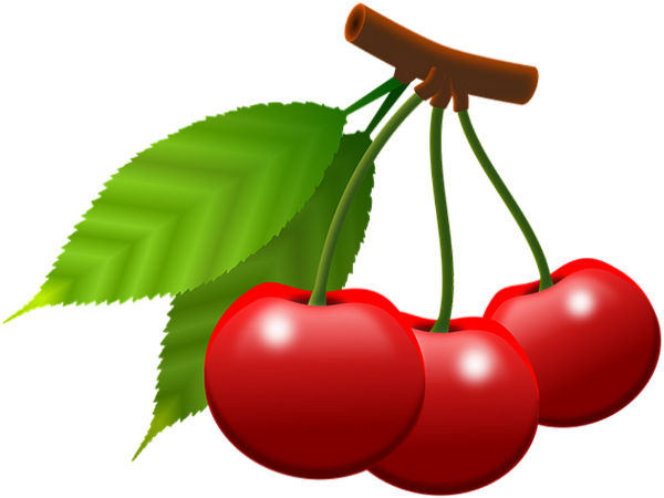 Tube fruit, cerises png / Cherries clipart / Cerezas png