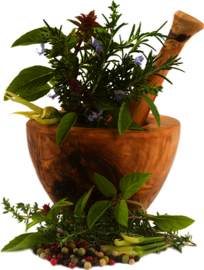 Plantes Aromatiques : Tube Png - Aromatic Plants : Render