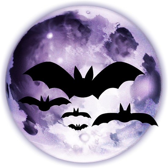 Chauve Souris Et La Nuit De La Lune Vecteur PNG , Lune D Halloween, Lune,  Chauve Souris PNG et vecteur pour téléchargement gratuit