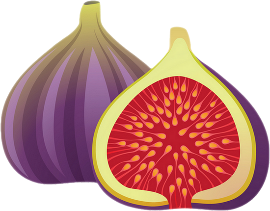 Figues png : tube fruit - Figs png : clipart - Feigen png.