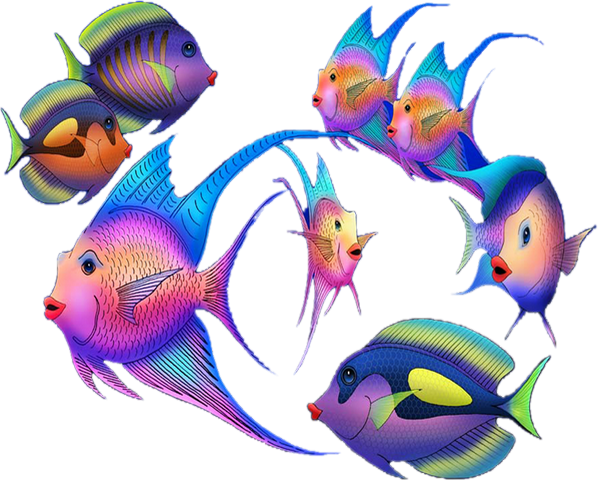 Poissons png, dessin, tube - Pescado - Fish png, drawing