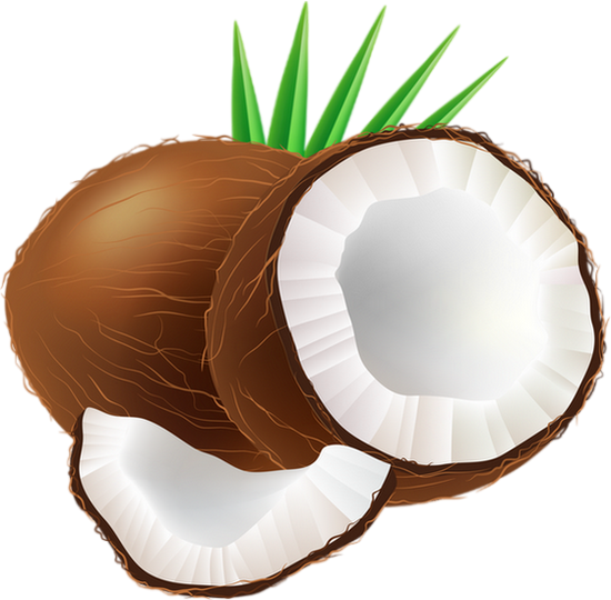 Noix de coco (fruits)