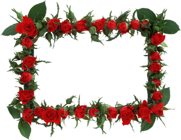 Cadre Png Roses Rouges Tube Fleurs Red Roses Png