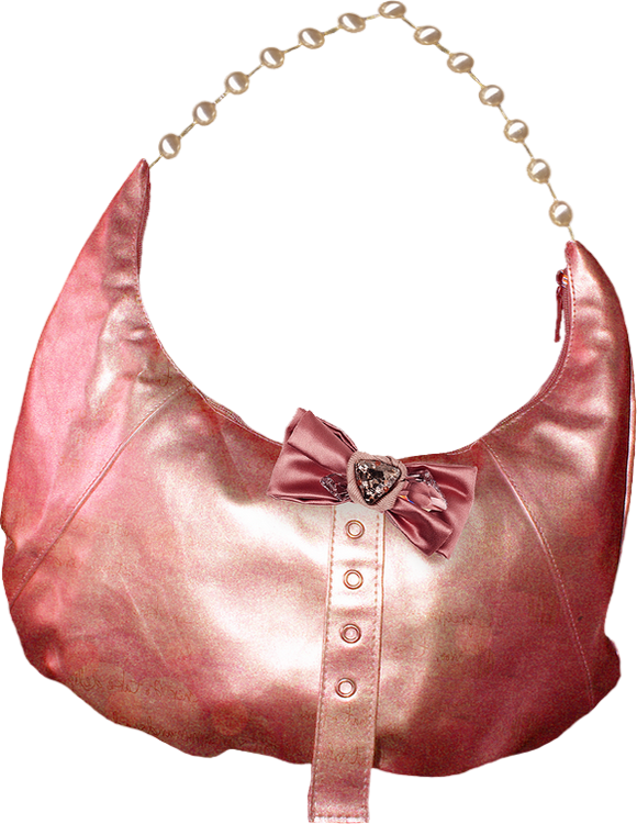 transparent pink bag