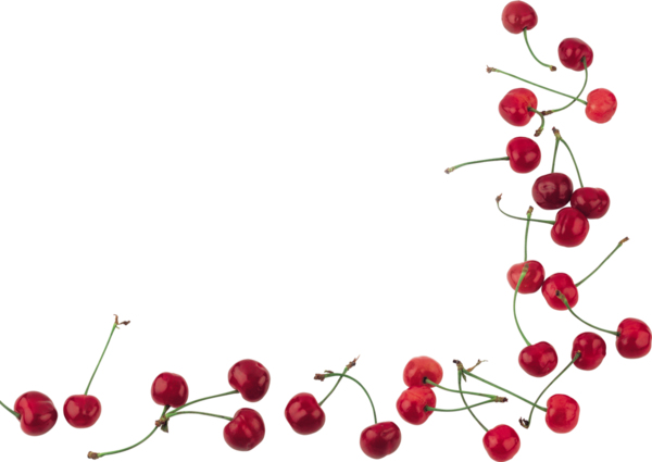 Cerises png, tube . Cerezas . Cherries png . Kirschen 