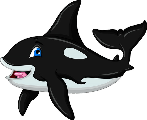 Tube orque png, dessin, cartoon - Killer whale clipart png