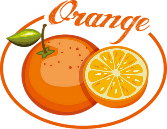 dessin de fruits orange