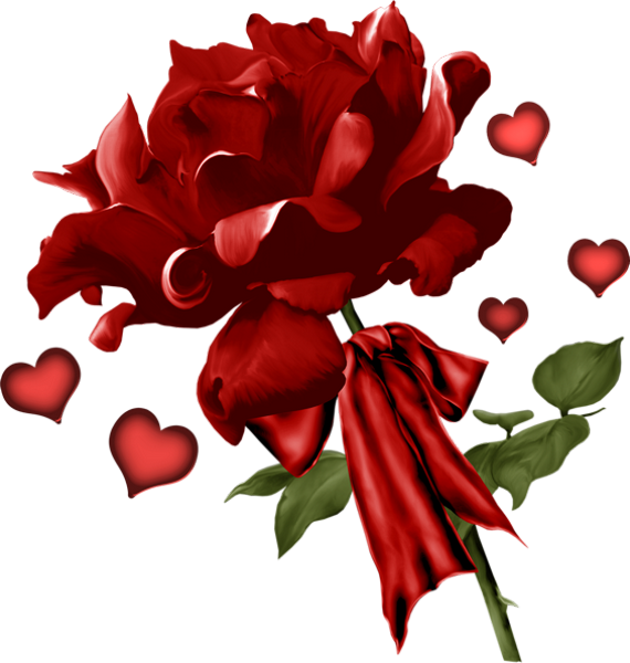 Rose Rouge Png Tube Fleur Valentine Red Flower