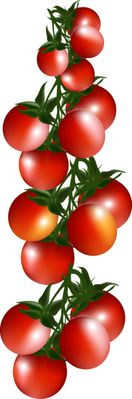 Tomates : Tube Png - Tomatoes - Tomaten - Pomodori