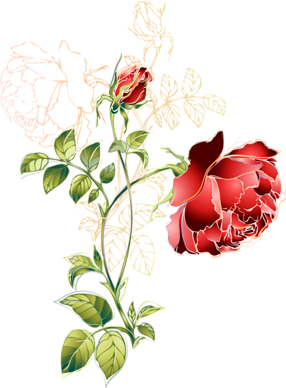 Tube rose rouge, dessin png Red rose drawing, flower