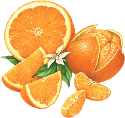 Éplucheur D'orange Et Agrumes - Léger, Pratique Et Efficace Pour éplucher Sans Abîmer La Pulpe | Outil De Cuisine Indispensable