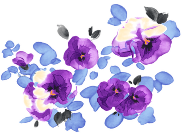 Pensées, tube png fleur, dessin_Flowers drawing png