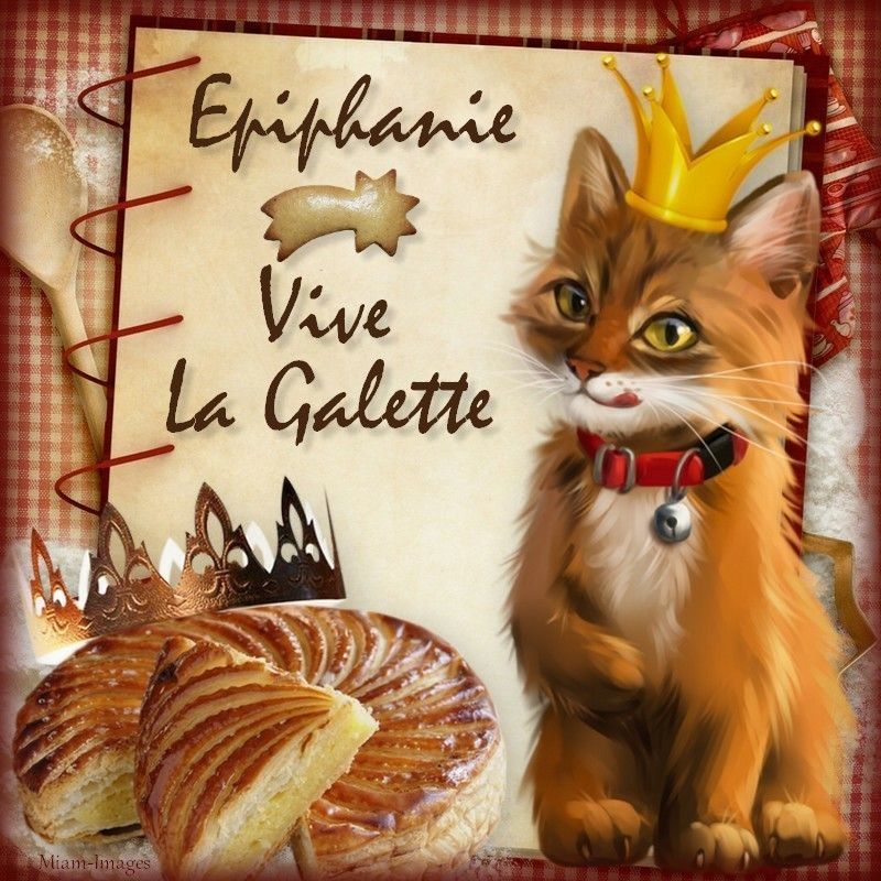 Résultat de recherche d'images pour "galette des rois avec chat"