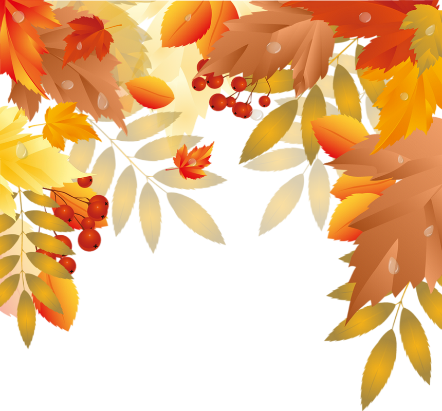 Feuillage D Automne Png Transparent Tube Fall Vector