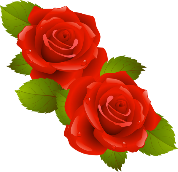 ♥ Tube Roses Rouges St Valentin Red Roses Png Clipart ♥