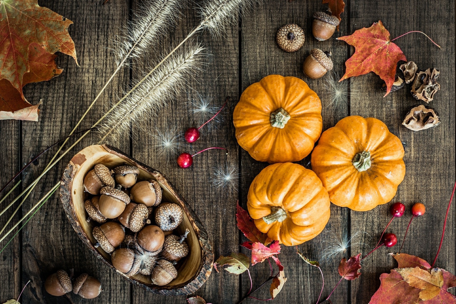 Automne Fonds Ecran Autumn Wallpaper
