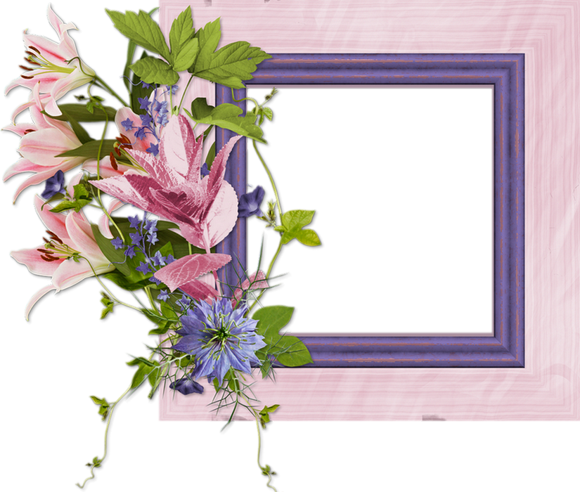 cadre-photo-png-fleurs-cluster-bloom-frame-png