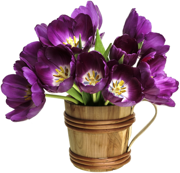 Tube Bouquet De Fleurs Png Tulipes Flowers Png